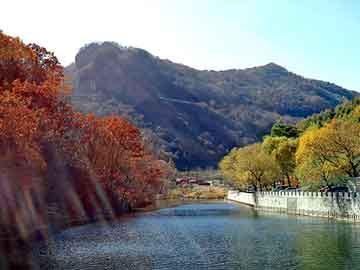 新澳天天开奖资料大全旅游团，酢狗